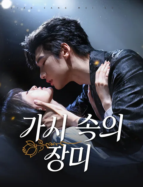가시 속의 장미 (장궁부모아불요료)