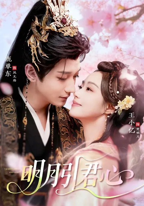明月引君心
