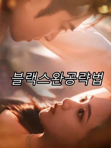 블랙스완공략법 (흑천아공략)