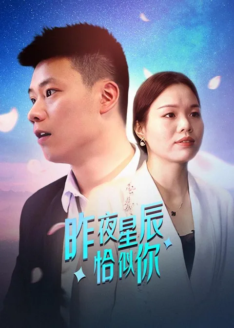 昨夜星辰恰似你