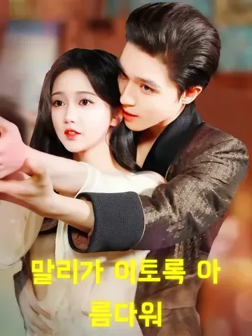 소리 없는 악장 FineDrama