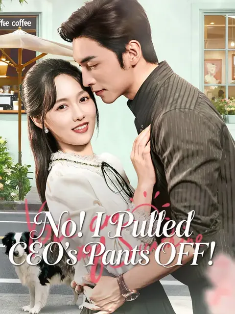 Married My Boss by Accident NetShort
