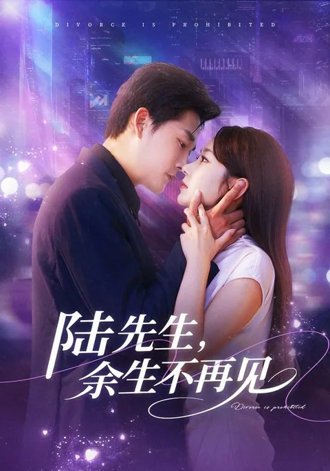 陆先生，余生不再见 HongGuo