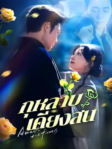 玫瑰与青松 DramaBox
