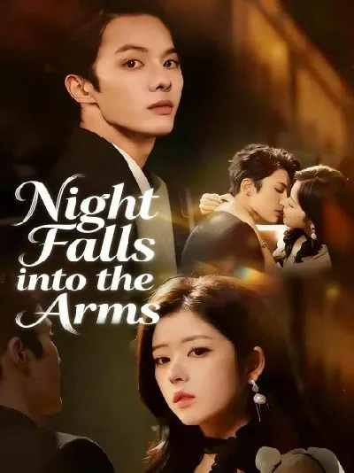 Night Falls into the Arms