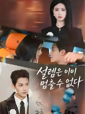 설렘은 이미 멈출 수 없다