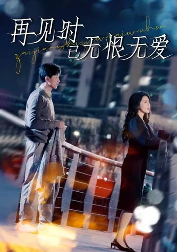 再见时已无恨无爱