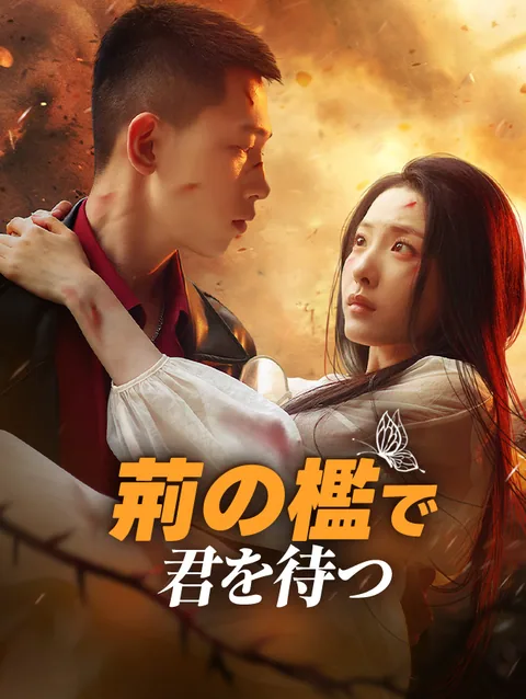 荊の檻で君を待つ