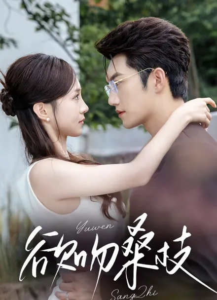 스위트 트랩 iQIYI