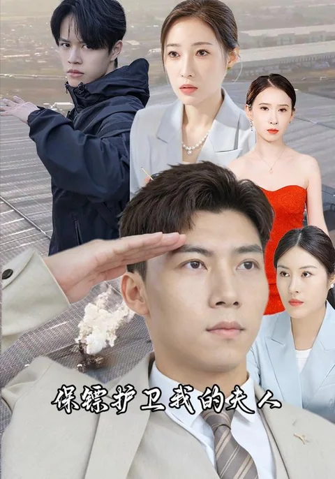 保镖护卫我的夫人