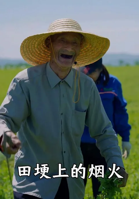 田埂上的烟火