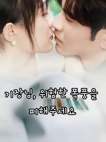 기장님, 위험한 폭풍을 피해주세요 (궤장선생，뇌우청요비)