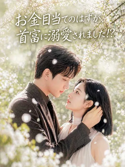 妻は金目当て、夫は恋愛脳!? iDrama