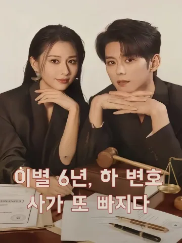 이별 6년, 하 변호사가 또 빠지다 (분수륙년하율사우륜함료)