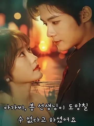 아가씨, 봉 선생님이 도망칠 수 없다고 하셨어요 (운소저，봉선생설니포불도료)