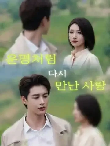 고요속에 차가워진 사랑 BeeShort