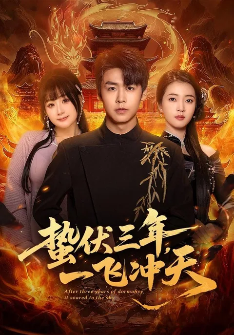 蛰伏三年，一飞冲天 HongGuo