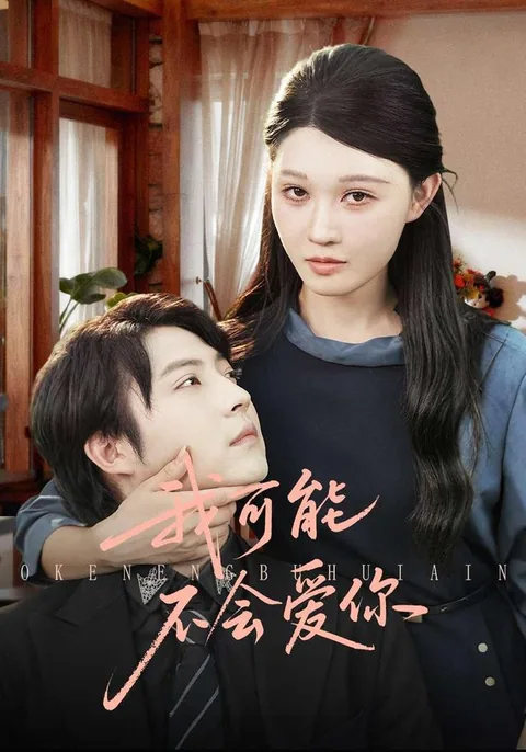 我可能不会爱你
