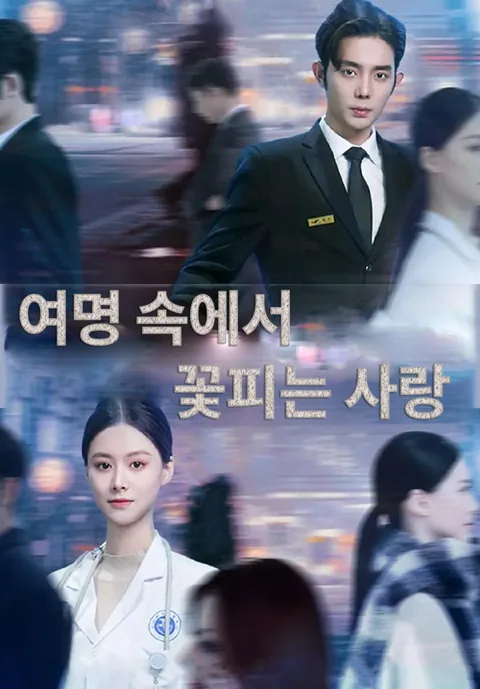 여명 속에서 꽃피는 사랑