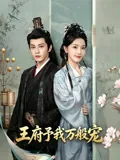王府予我万般宠