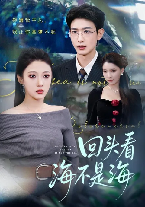 回头看海不是海