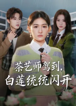 茶艺师驾到，白莲统统闪开 iQIYI