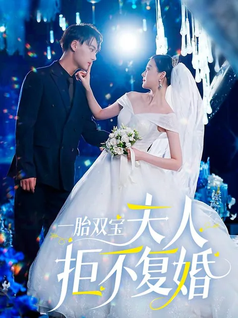 一胎双宝夫人拒不复婚