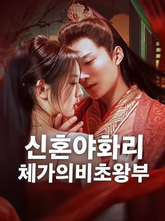 신혼야화리, 체가의비초왕부: 신혼 첫날밤 이혼, 대신 시집간 의비가 남편의 운명을 바꾸다