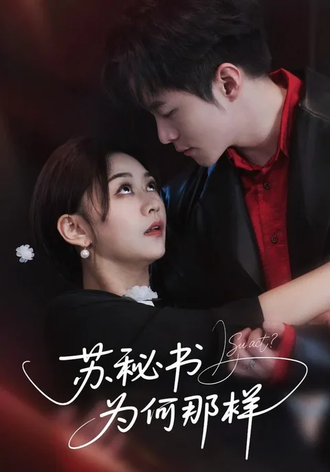 苏秘书为何那样