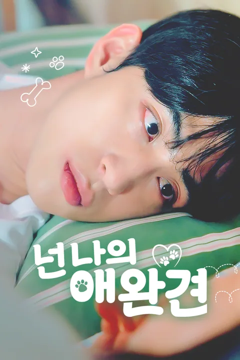 넌 나의 애완견