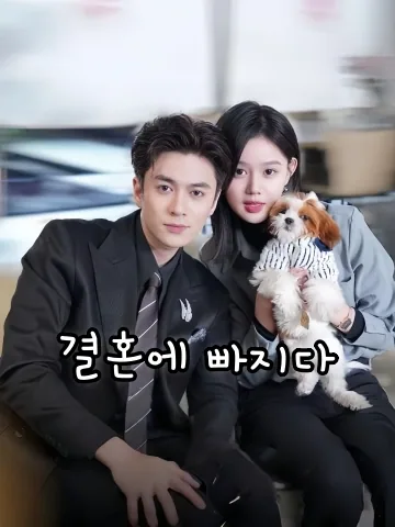 점입가혼3：결혼에 빠지다