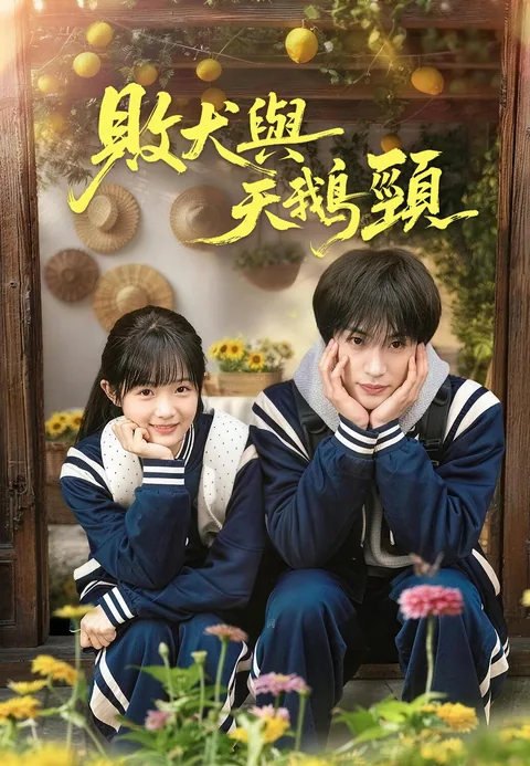 败犬与天鹅颈