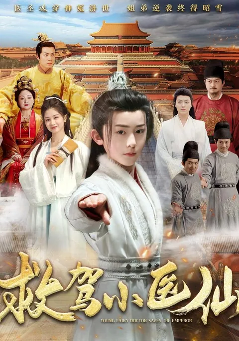 救驾小医仙