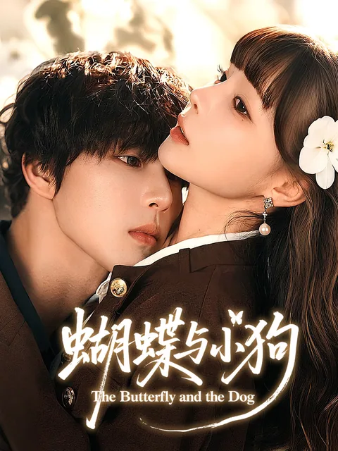 蝴蝶与小狗 FlexTV
