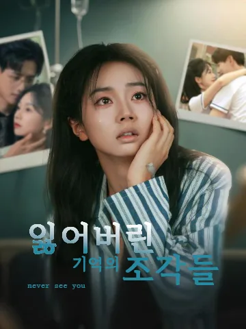 잃어버린 기억의 조각들