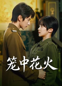 笼中花火