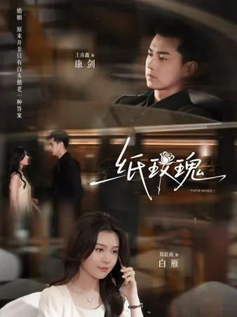 纸玫瑰 iQIYI