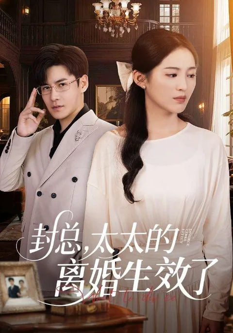 封总,太太的离婚生效了 HongGuo