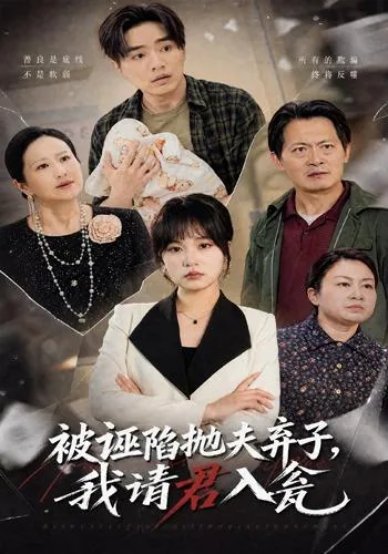 被诬陷抛夫弃子，我请君入瓮