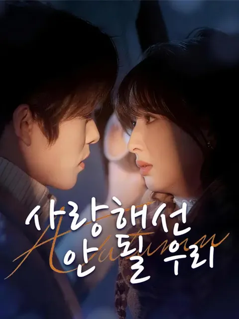 사랑해선 안 될 우리 (불능애적니)