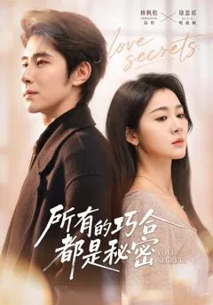 所有的巧合都是秘密/陆总夫人她只想离婚