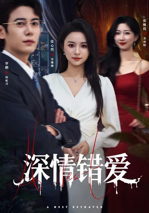 深情错爱