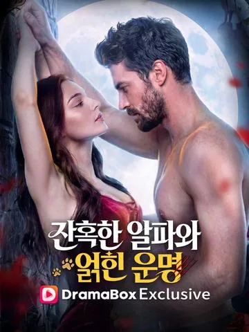 잔혹한 알파와 얽힌 운명 (야상광야랑왕)