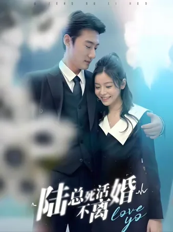 陆总死活不离婚