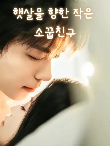 향양여완소청매 (向阳予婉小青梅)