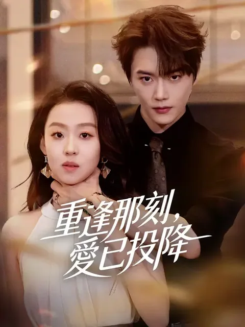 再遇前任恋上他的情深