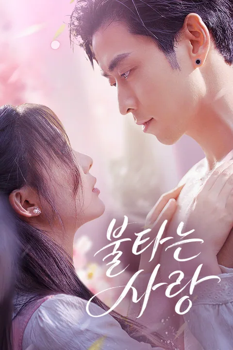 너에게 물들다 Vigloo