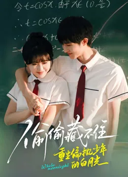 偷偷藏不住，重生偏执少年的白月光