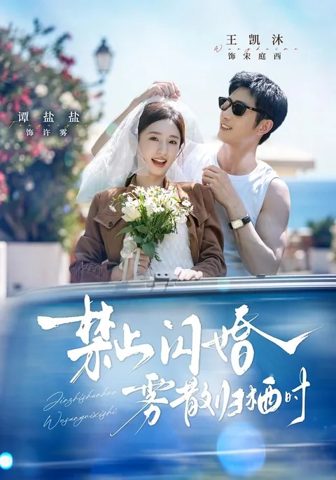 禁止闪婚，雾散归栖时