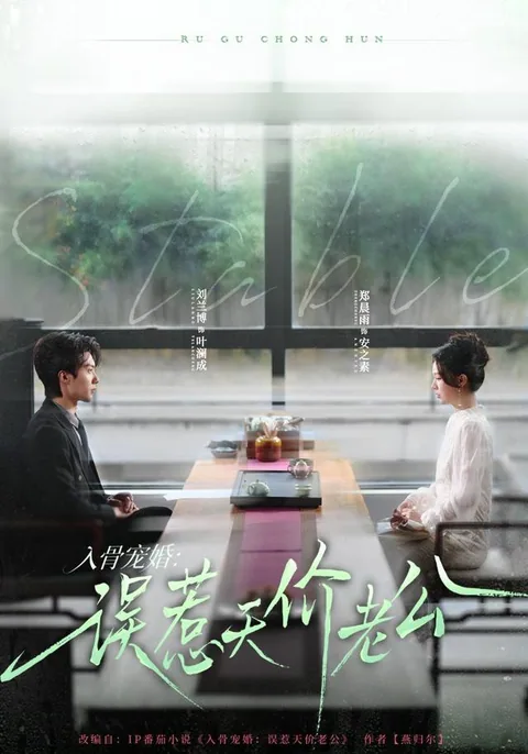 초고속 결혼: 뼈저리게 그녀를 사랑하다 HongGuo